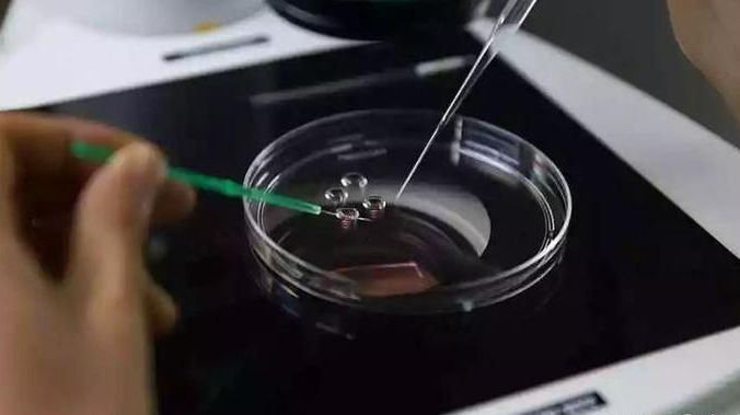 做试管婴儿体重二百斤可以坐吗？先看这3个硬指标