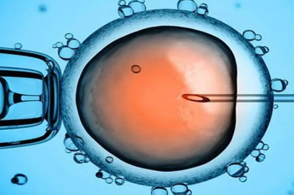 卵巢功能恢复好可做一代试管