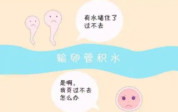 促排不会出现输卵管积水