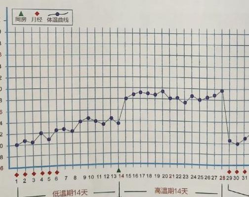 排卵期怎么推算才准？不用算日期反而更靠谱的方法
