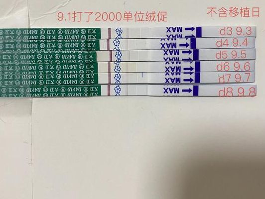 4bb囊胚移植第八天才测到，惊喜反转还是暗藏风险？