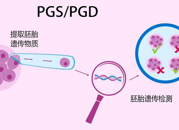 大龄女性做三代试管pgs筛查通过率高吗?