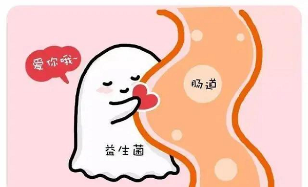 好的菌种更能耐受胃液