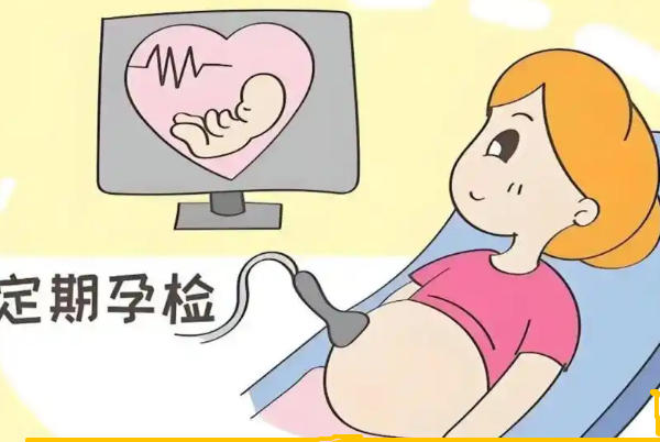 孕期不同阶段检查重点不一样