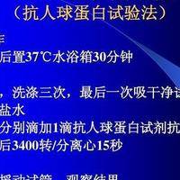 rh血型阳性是什么意思？做试管费用价格多少钱？过来人梳理5笔开销明细