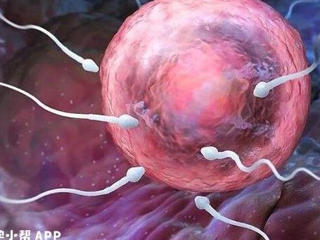 单男性可以试管生孩子吗?先看这三个现实条件