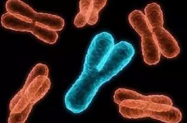 染色体异常的胚胎可以移植吗