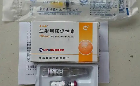 打乐宝得卵泡会大