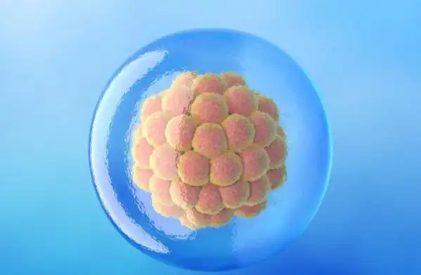 移植后hcg会增长