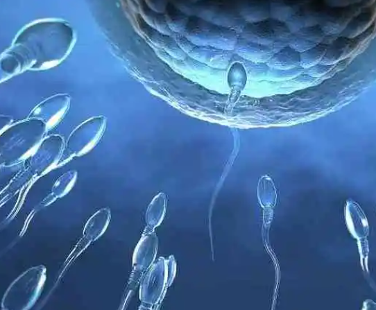 20%的精子存活率能做二代