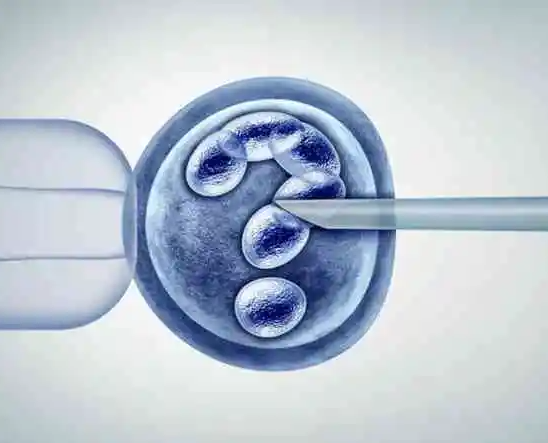 胚胎着床过程很复杂