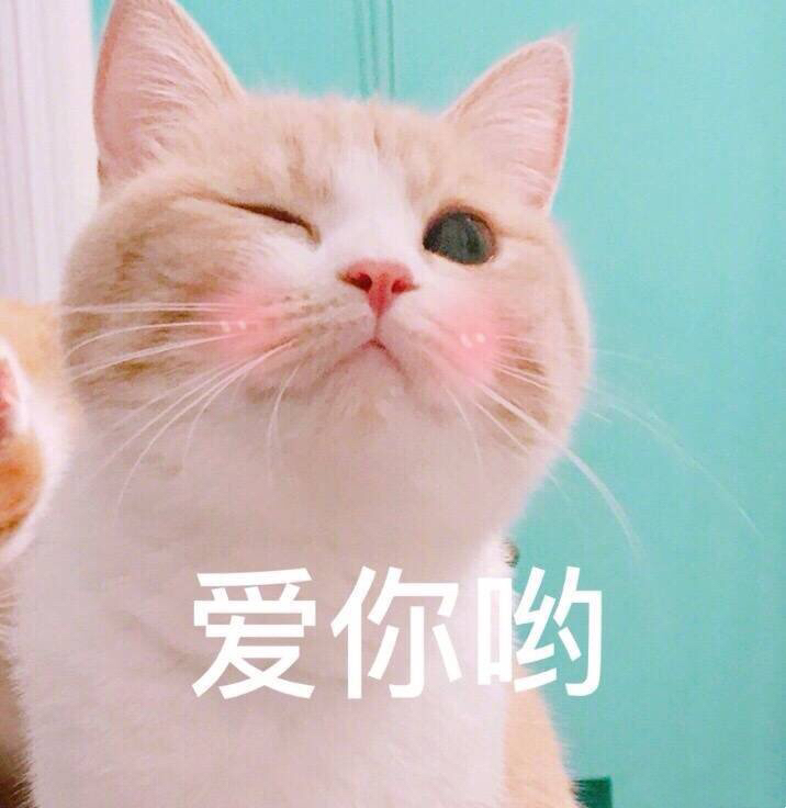 我的小杰瑞头像