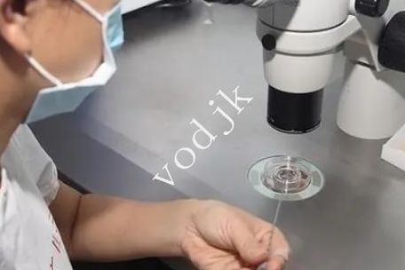 泰国试管婴儿机构排名前十有哪些品牌好？别只看榜单
