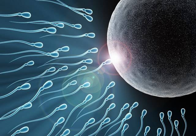 做试管婴儿发现卵子总是受精失败，该怎么办？