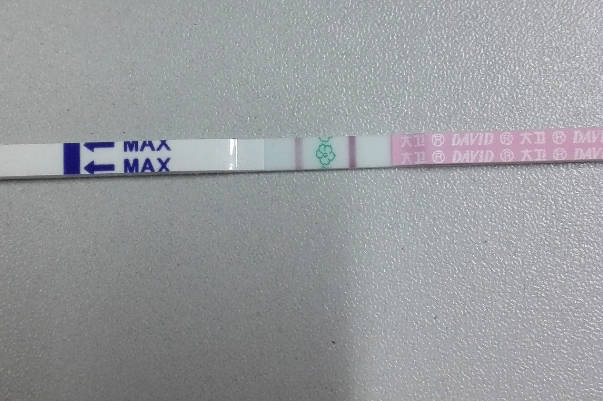 着床出血后用排卵试纸能测出自己怀没怀孕么？