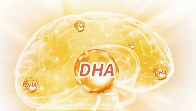 dha有很多益处
