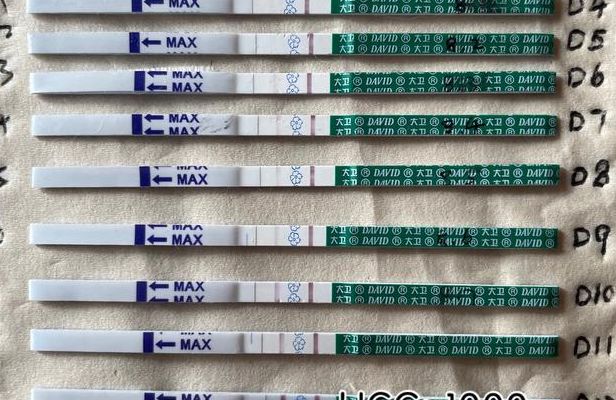 试管多少天可以测出来怀孕？最快第几天能验出