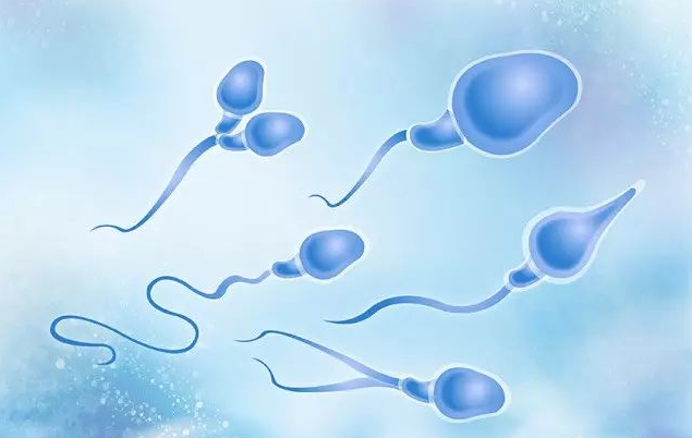 没有统一的精子库价格表