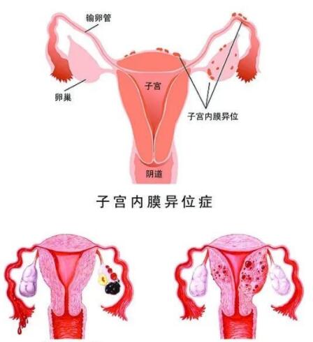 话题图标