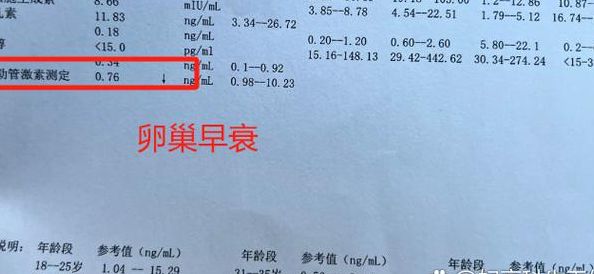 女性激素六项检查多少钱？过来人帮你梳理试管全流程的6笔开销明细