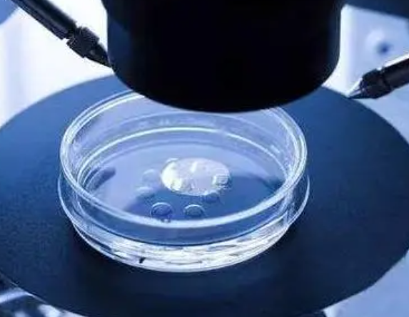 精子活力会影响胚胎发育