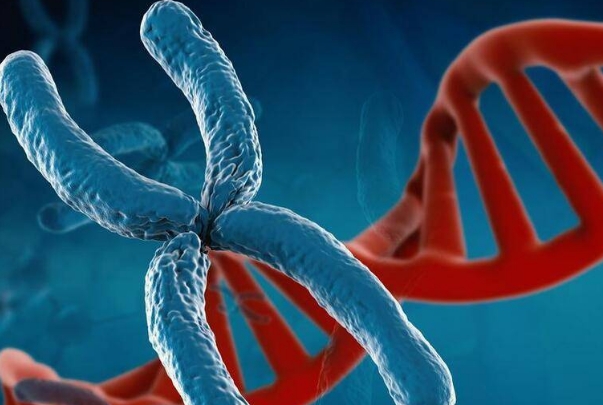 试管三代<a href=