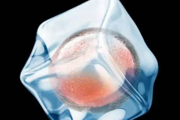 胚胎发育个体差异性会影响验孕结果