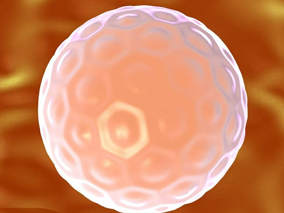 卵泡监测发现无成熟卵泡原因?无成熟卵泡能做试管怀孕吗?