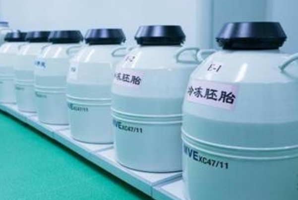 301胚胎冷冻的费用受个数的影响