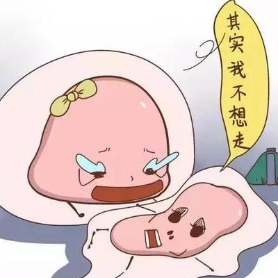 美国试管婴儿哪里较好？先避开这四类坑再做决策