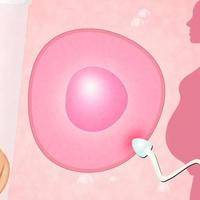 处女可以做试管吗？没性生活也能怀上宝宝