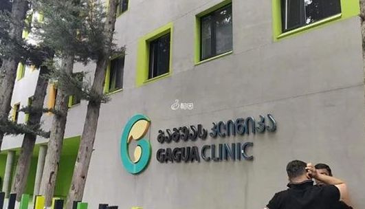 格鲁吉亚做试管助孕哪个医院较好呢，我跑了三家才定下来