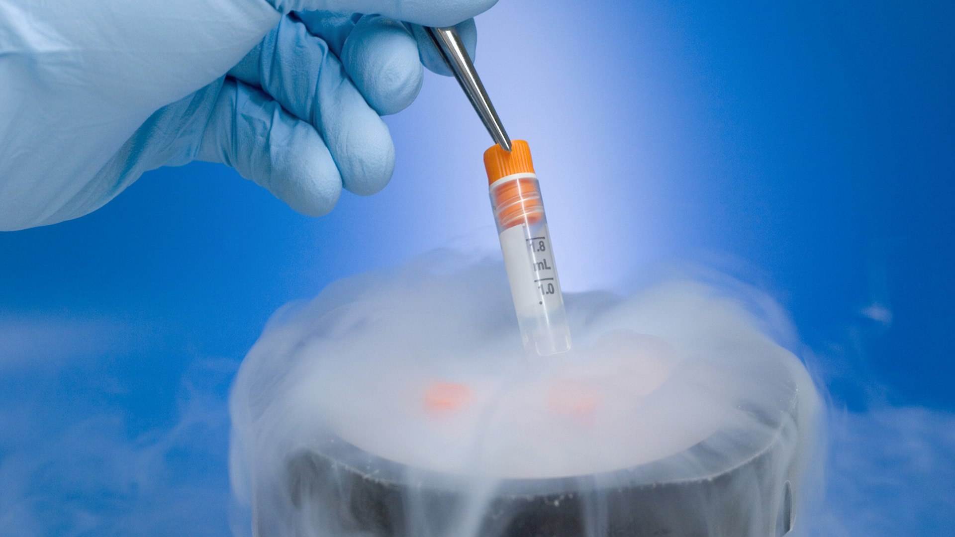 冷冻胚胎是什么？适用于哪些病？
