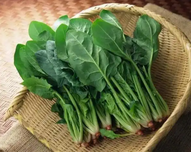 高碱性食物大集合：健康生活的秘密武器