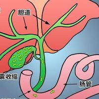 国内医院试管婴儿，多数人忽略了一个比成功率更重要的指标