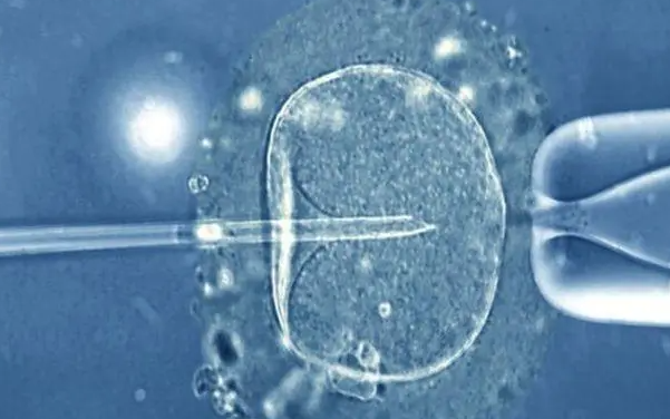 供胚移植试管多少钱？