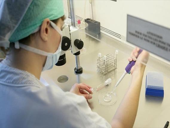 绝经后试管婴儿成功怎么做到的？先把你的绝经类型搞清楚
