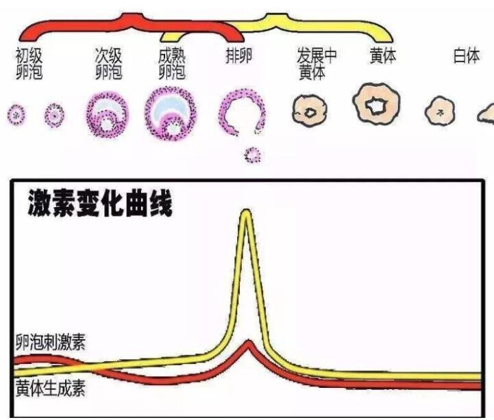 话题图标