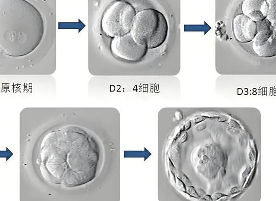 试管从做到成功要多久？35岁姐姐一次就中