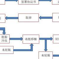 试管怀孕怎么流程流产？别慌，先确认再选方式，还要通知生殖中心