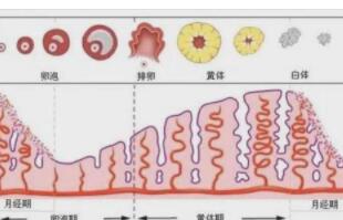 话题图标