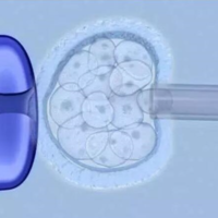 上海供卵机构介绍,上海供卵生子子宫后位对生子有影响吗