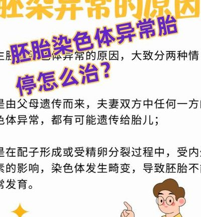 34岁,三次胎停育,染色体平衡易位让她只能碰运气