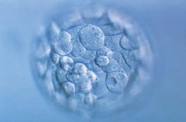 3代试管就一个4bb胚胎能成功和送检吗?