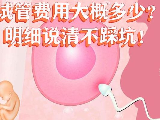 做试管多少钱？过来人帮你梳理5笔开销明细，心里有底