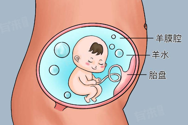 羊水清澈表示胎儿发育好