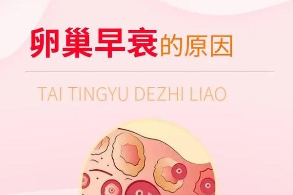 卵巢早衰还可以做试管婴儿吗多少钱？费用价格明细过来人梳理