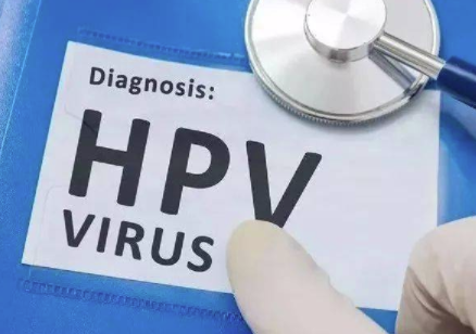 hpv58阳性.png
