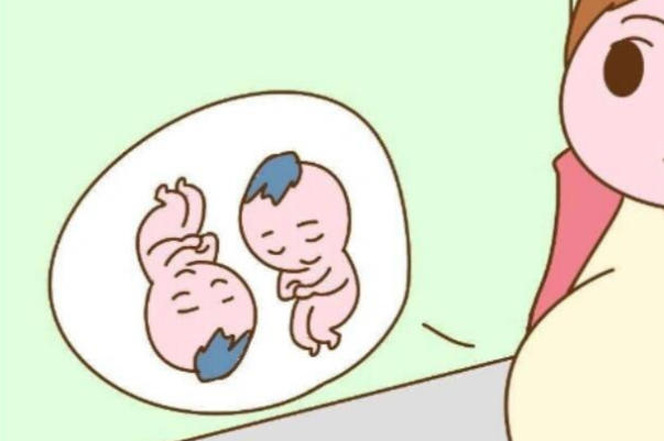 家有遗传双胞胎基因的生两个宝宝概率高