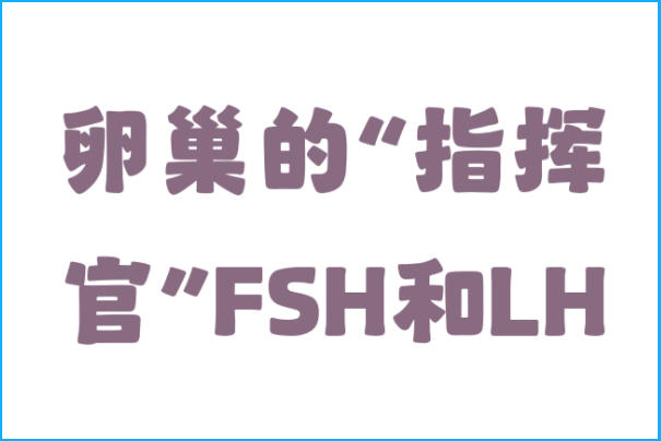 fsh和lh的比值是FSH除以LH